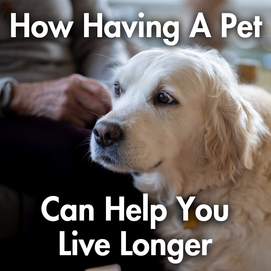 How Having A Pet Can Help You Live Longer