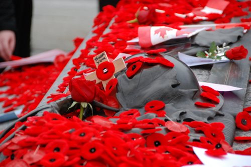 red poppy's with Canadian flags