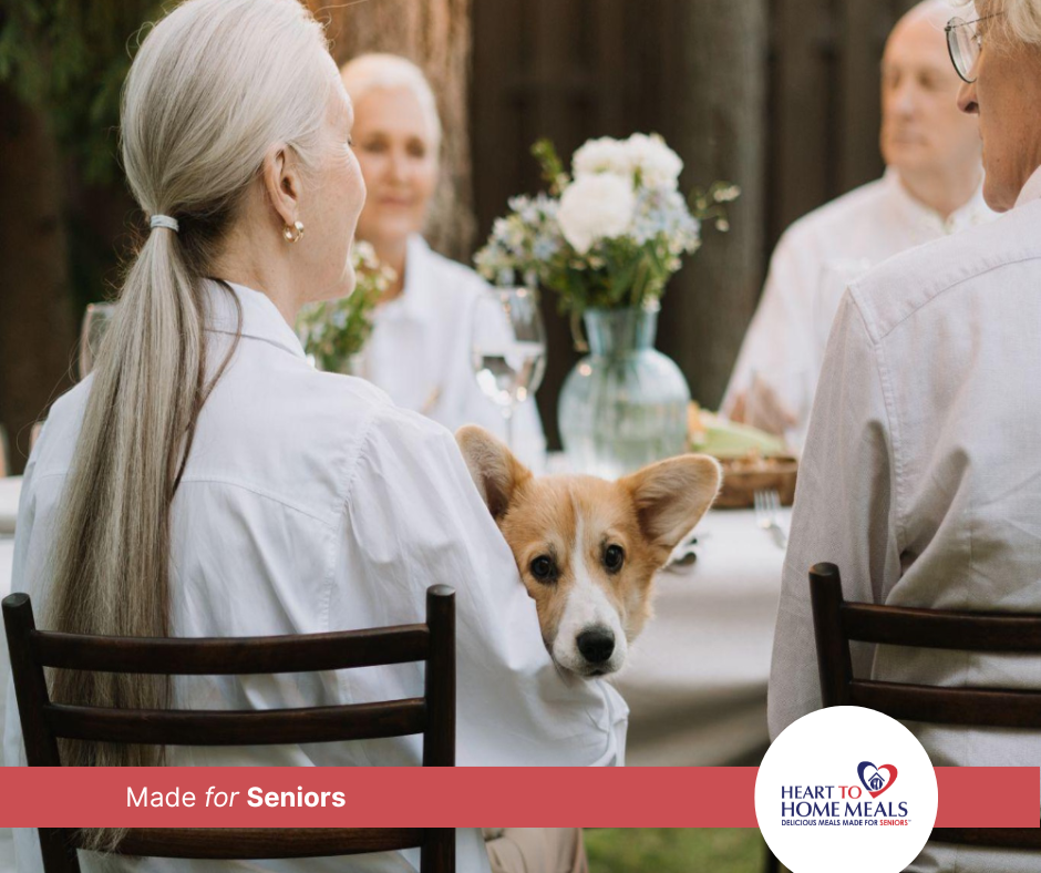 The Best Dog Breeds for Seniors